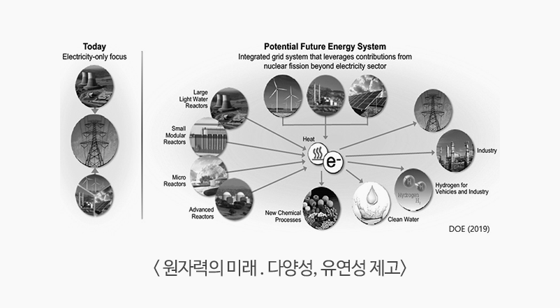 원자력의 미래 . 다양성, 유연성 제고