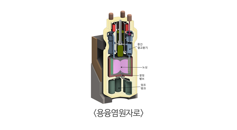 원자력의 미래 . 다양성, 유연성 제고