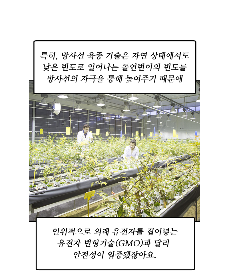 아래의 내용을 참고바랍니다.
