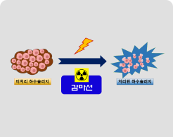 감마선으로 수질오염을 막는 원리는 설명하고 있다.