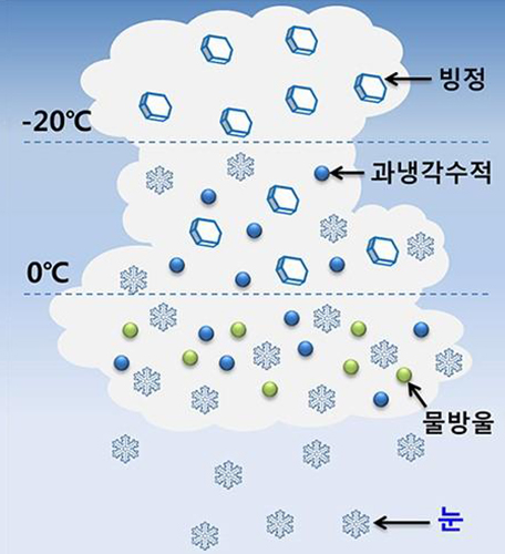 눈의 원리 : 눈을 뿌리는 ‘차가운 눈구름’은 높이에 따라 온도가 다르다. 영하 20도 이하 층에서는 빙정(얼음)만 존재하고 영하 20~0도 이하 부위에는 빙정과 함께 눈 결정이 되기 직전인 과냉각된 물방울이 함께 존재한다. 빙정과 과냉각된 물방울이 충돌하면서 성장해 아름답고 다양한 형태의 눈 결정을 만들어 낸다.(케이웨더 제공)