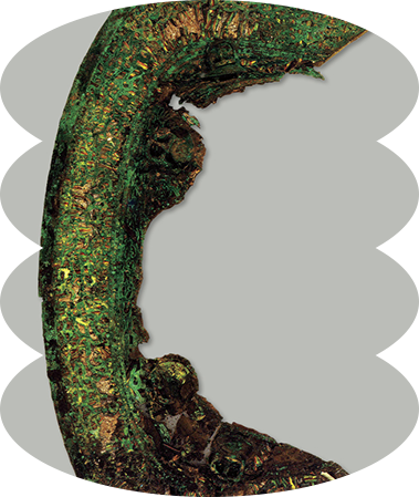 문화유산 속 과학읽기