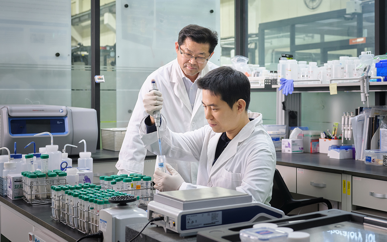 노리매 곳곳의 포토존