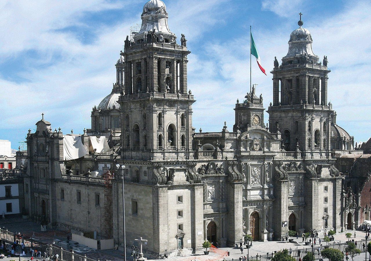 하귤나무가 가득한 포토존