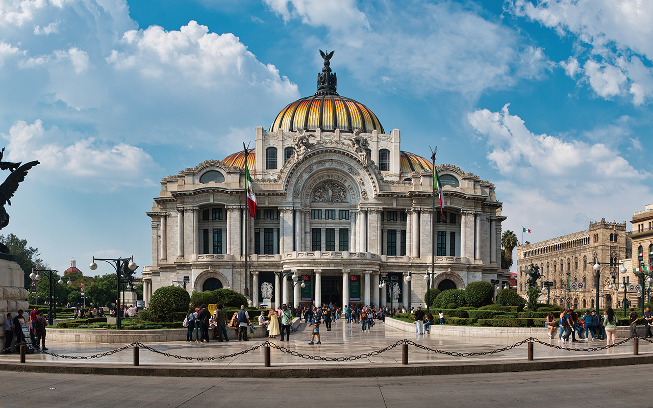 하귤나무가 가득한 포토존