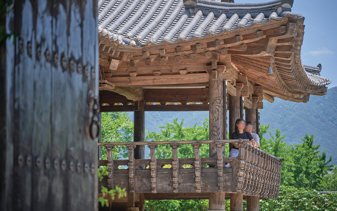 하귤나무가 가득한 포토존