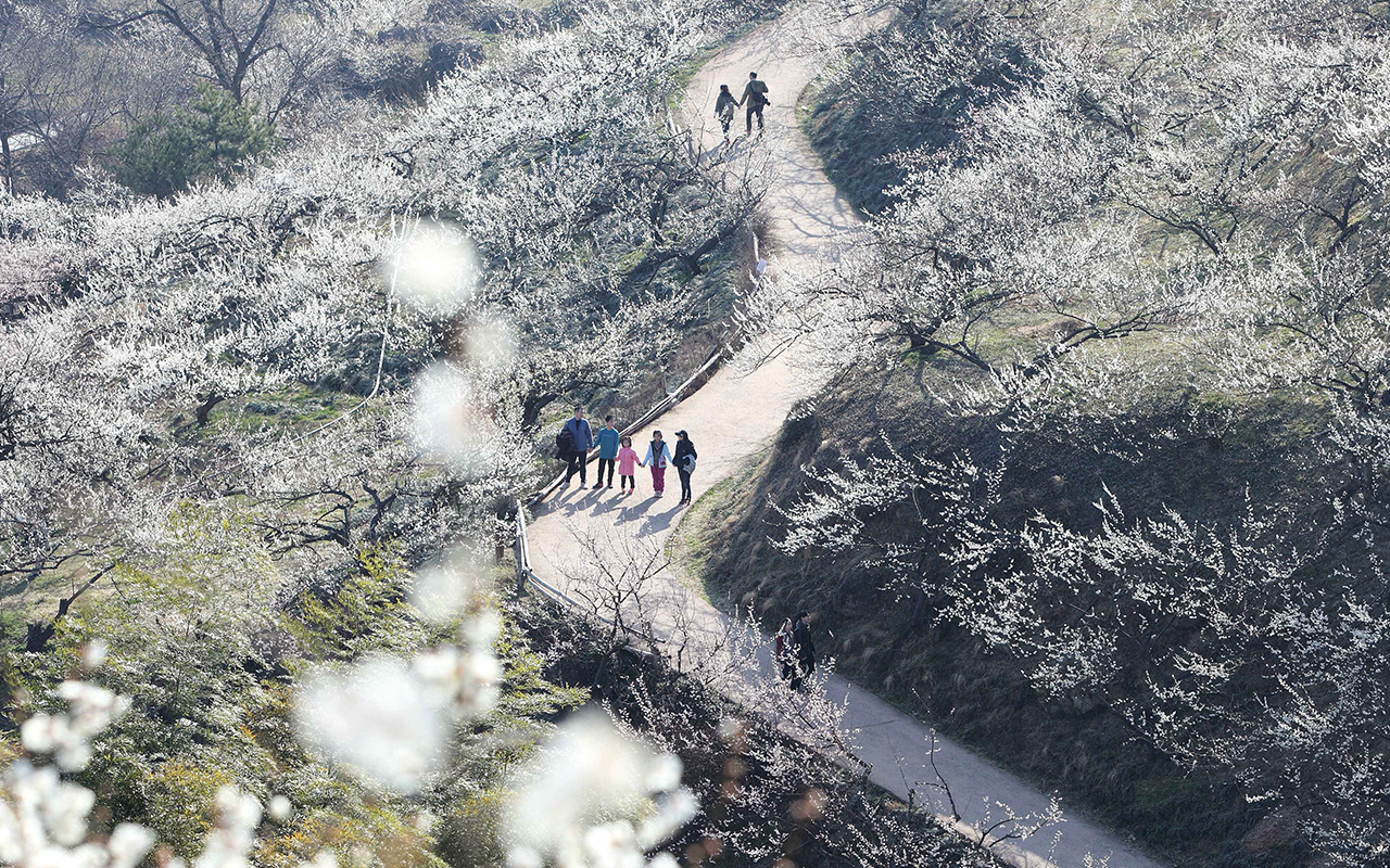 노리매 곳곳의 포토존