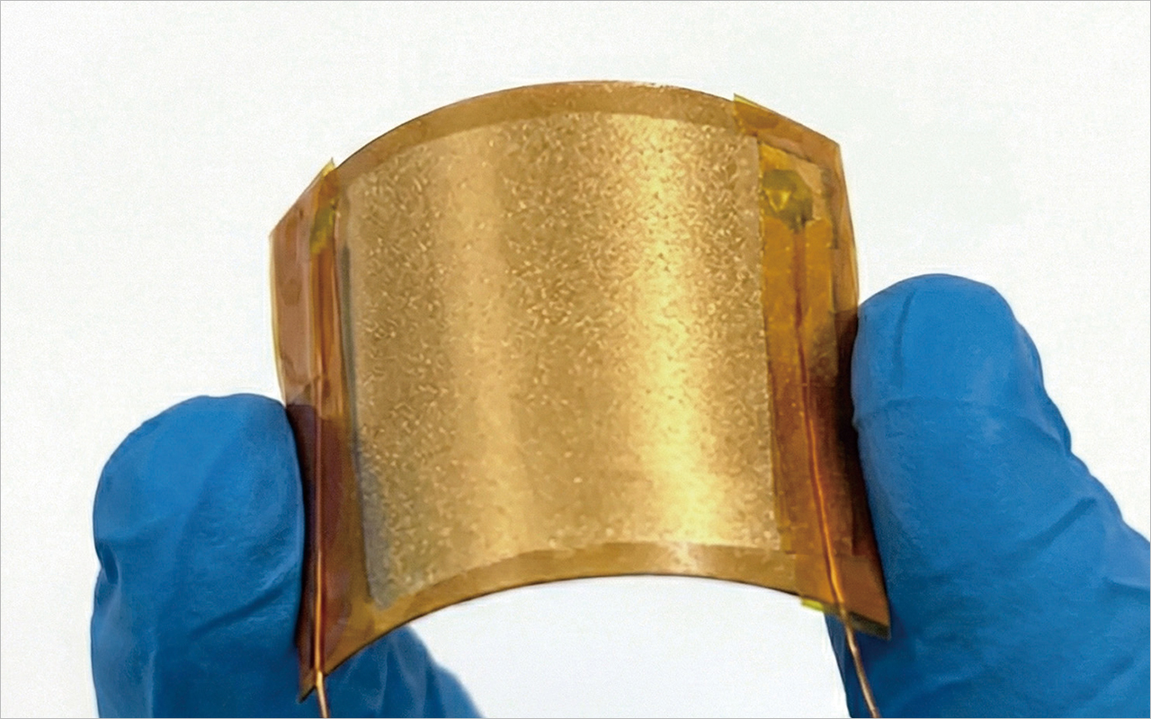 하귤나무가 가득한 포토존