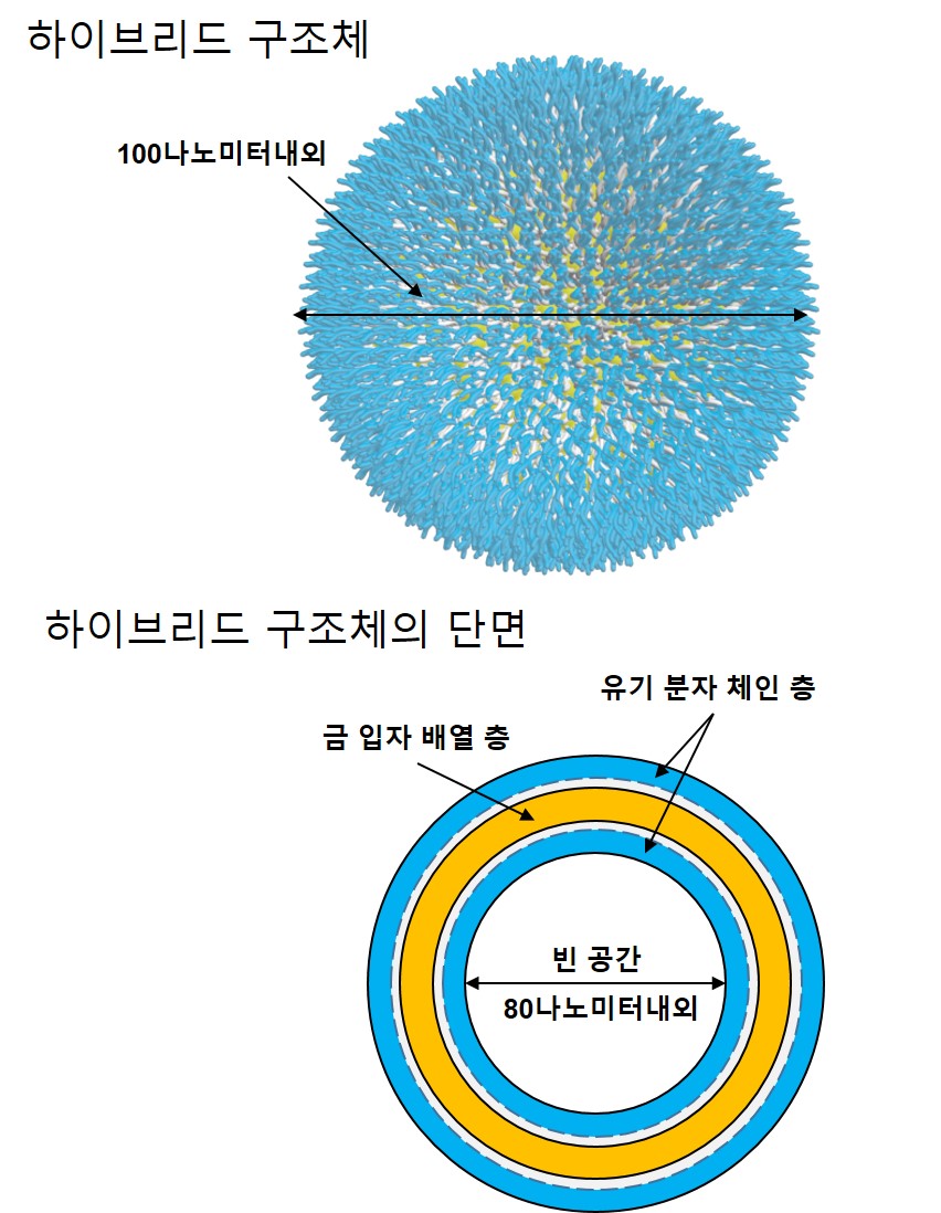 연구원이 자체 개발한 금 나노입자 구조체 이미지