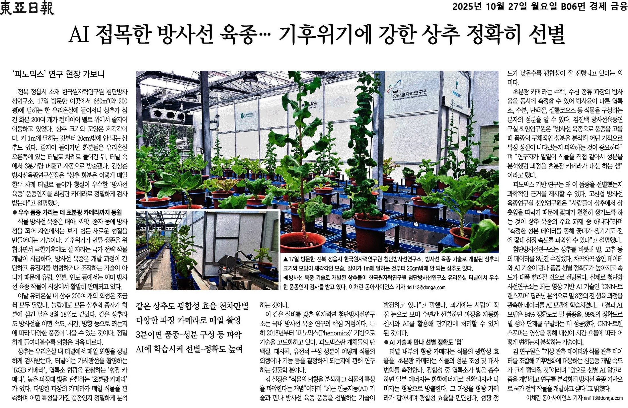 2025.10.27.] AI 접목한 방사선 육종... 기후위기에 강한 상추 정확히 선별(동아일보) < 언론보도 < 알림마당 -  정읍첨단방사선연구소