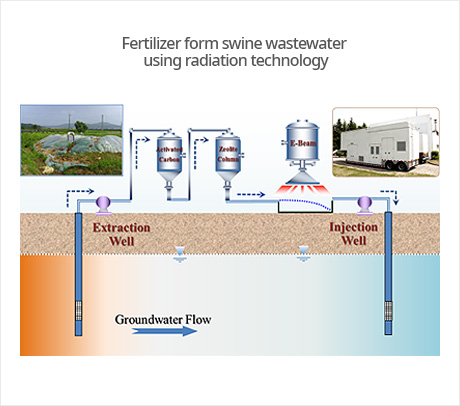 Fertilizer form swine wastewater using radiation technology